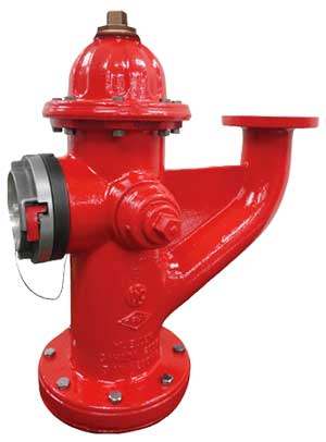 Sistemas Contra Incendio detalle